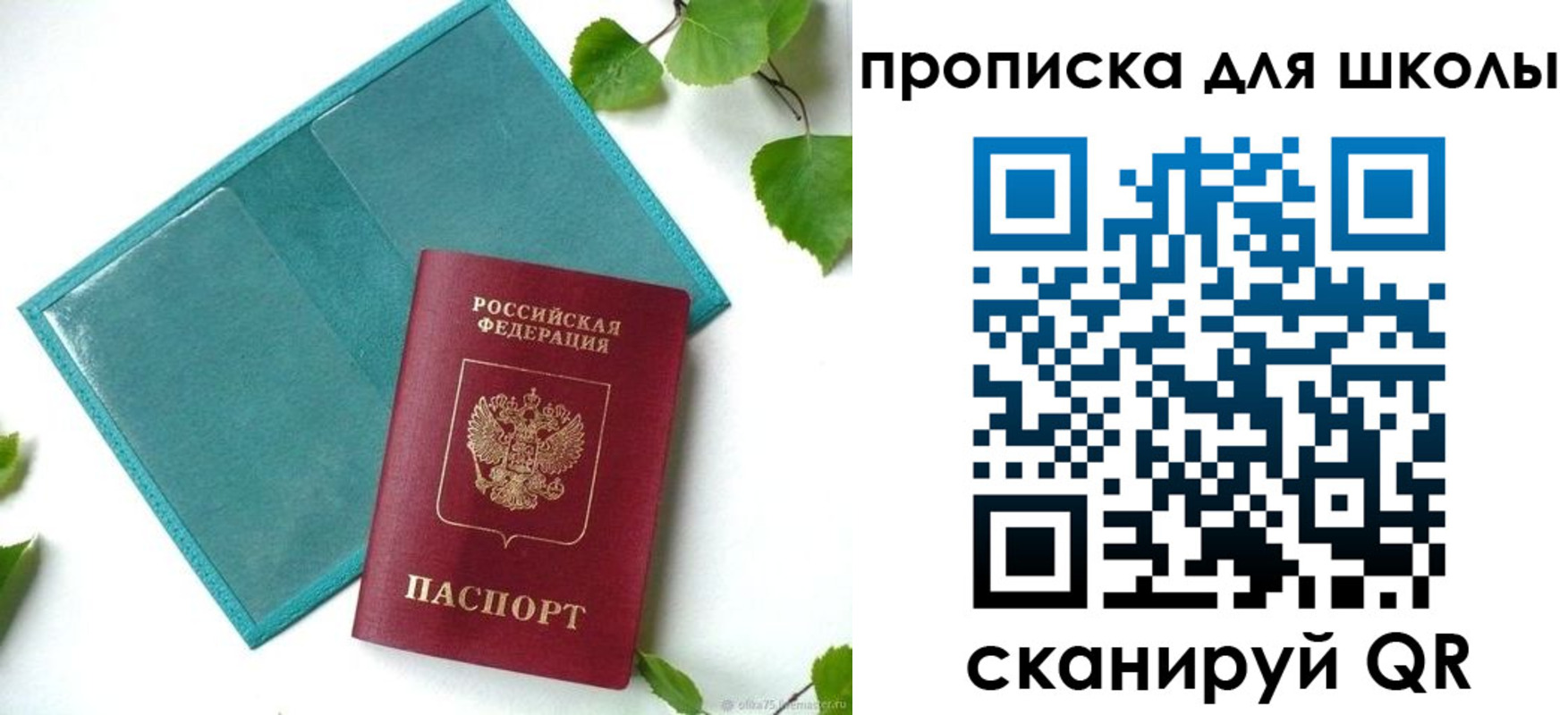 прописка в Ипатово